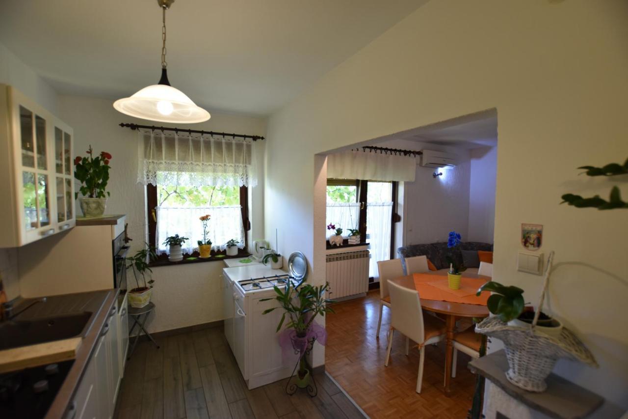 Apartments Frkovic Ledenice Ngoại thất bức ảnh