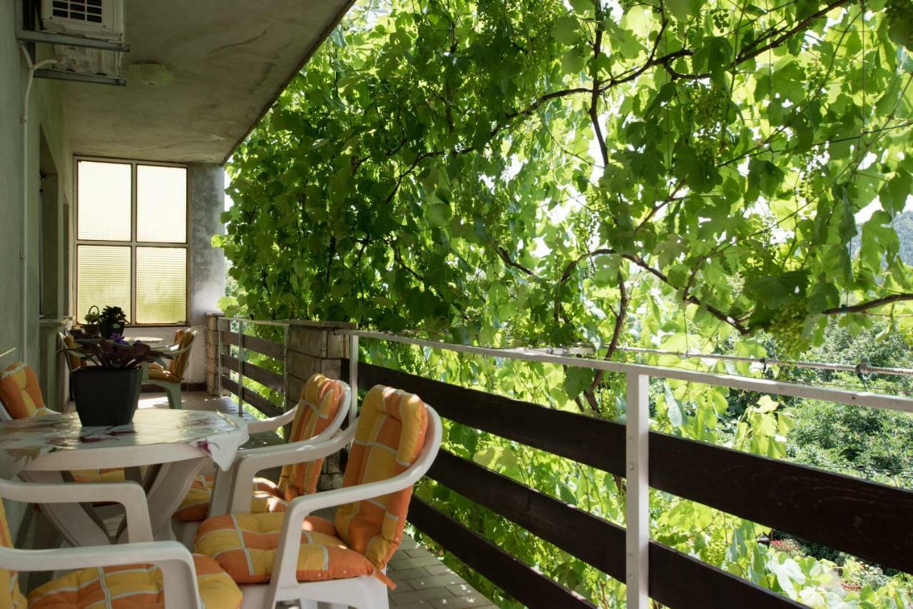 Apartments Frkovic Ledenice Ngoại thất bức ảnh